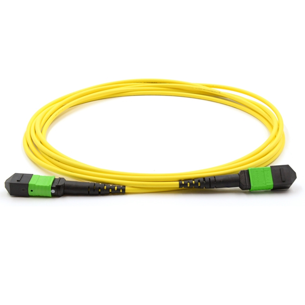 MTP Single mode Fiber Optic Patch Cable